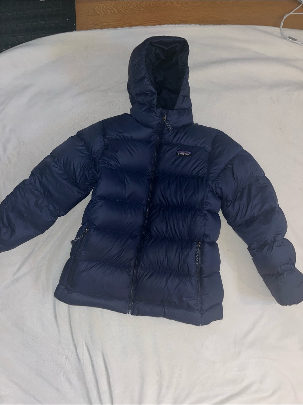 Patagonia Dark Navy Hooded Down Jacket